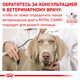Влажный корм для собак и кошек Royal Canin Recovery (Роял Канин Рекавери) 195г - изображение 3