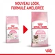 Сухой корм для кошек Royal Canin MOTHER AND BABYCAT для котят до 4 месяцев и кормящих кошек 2кг - изображение 1