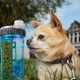 Бутылка двойная кормушка поилка 2в1 для воды и корма портативная BRS Blue - изображение 3
