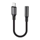 Аудио-переходник WALKER WA-030 Lightning to AUX 3.5мм (Universal IC) - изображение 1