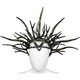 Тиара-корона Ведьма SETA Decor 24-528BLK-GL - изображение 1