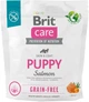 Сухой беззерновой корм для щенков всех пород Brit Care Dog Grain‑free Puppy с лососем 1 кг - изображение 1