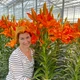 Цибулини Яскрава Лілія азіатська Orange Summer (59512) (1шт) - зображення 1