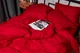 Комплект постельного белья Moon&Star Satin Stripe «Stripe Red» двуспальный 175х210 наволочки 2х40х60 (MS-820003575) - изображение 6