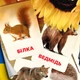 Карточки Домана ''Дикие животные'' на украинском языке, в наборе 23 карточек - изображение 1