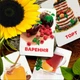 Картки Домана ''Їжа'' українською мовою, у наборі 24 карток - зображення 3