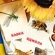Карточки Домана ''Насекомые'' на украинском языке, в наборе 16 карточек - изображение 1