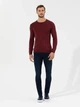 Джемпер мужской Pierre Cardin G021SZ0TK-000-1514729(bordo) M Бордовый (8682733837461) - изображение 3