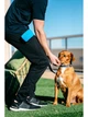 Контейнер для ласощів Dexas Pooch Pouch з кліпсою на пояс для тренувань, блакитний - зображення 5