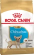 Корм для щенков породы Чихуахуа ROYAL CANIN CHIHUAHUA PUPPY 0.5 кг - изображение 1
