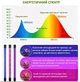 Гнучка світлодіодна фітолампа ультрафіолетова 2 голови Grow Light для квітів орхідей рослин мікрозелені повний спектр фіто лампа на прищіпці від USB - зображення 5
