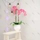 Самоклеящаяся стеновая PET плитка 600*300*2mm (D) SW-00001679 - изображение 7