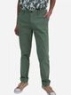 Spodnie regular fit męskie Big Star Hektor 110856303 W33L32 Zielone (5900714522599) - obraz 1