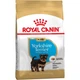 Сухой корм Royal Canin Yorkshire PUPPY для щенков породы Йоркширский терьер до 10 месяцев 7,5 кг - изображение 1