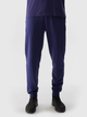 Спортивні штани 4F TROUSERS CAS M603 M Темно-синій 4FWSS24TTROM603-31S - изображение 1