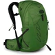 Туристический рюкзак Osprey Talon 22 Green Belt/Black L/XL (009.3581) - изображение 1