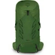 Туристический рюкзак Osprey Talon 36 Green Belt/Black L/XL (009.3577) - изображение 2