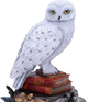 Figurka Nemesis Now Harry Potter Hedwig 22 cm (B6148W2) - obraz 3