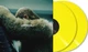Виниловая пластинка Beyonce – Lemonade (2LP) Yellow Vinyl - изображение 2