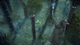 Ключ активации King Arthur: Knight's Tale для Xbox Series S/X - изображение 6
