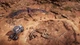 Ключ активации Expeditions: A MudRunner Game для Xbox One/Series S/X - изображение 13