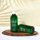Шампунь для волос Esthetic House Успокаивающий Tea Tree Mint Shampoo CP-1 500 мл 8809450014016 - изображение 2