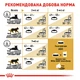 Сухой корм Royal Canin British Shorthair Adult для взрослых котов породы Британская короткошерстная 10 кг (арт 2557100) - изображение 3