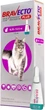 Капли Bravecto Plus Cat для кошек 6.25 - 12.5 кг 500 мг Spot On (19616) - изображение 1