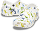 Детские сабо CROCS CLASSIC CHARACTER PRINT CLOG T 24 Белый/Синий 209697 - изображение 1