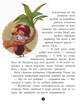 Банда Піратів. На абордаж! Ж.Парашині-Дені, О. Дюпен - зображення 5