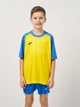 Подростковая футболка для мальчика Joma Teamwork 102218.907 141-152 см Желто-Синяя (8445456571391) - изображение 1