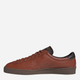 Sneakersy męskie skórzane adidas Lacombe EE5751 38.5 (6.5UK) 25 cm Brązowe (4061615612022) - obraz 4
