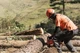Бензопила Husqvarna 272XP (9656816-18) - изображение 3