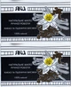 Упаковка мыла туалетного натурального Яка Какао и пшеничные отруби ручной работы 75 г х 2 шт (29615130) - изображение 1