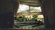 Игра Microsoft Xbox 360 The Walking Dead: Survival Instinct Английская Версия Б/У - изображение 3