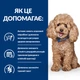 Сухий корм Hill's PD Canine Gastrointestinal Biome Mini Дієтичний сухий корм з куркою для дорослих собак малих та мініатюрних порід при захворюваннях шлунково-кишкового тракту 3 кг (606202) - зображення 6