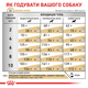 Сухой лечебный корм Royal Canin Urinary S/O Small Dog для собак мелких пород при заболеваниях нижних мочевыделительных путей 1.5 кг (арт 3801015) - изображение 3