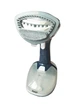 Ручний вертикальний відпарювач RAF R 1226/1200W 350 мл - зображення 1