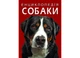Енциклопедія Собаки Crystal Book F00028100 978-617-547-106-7 - изображение 1