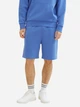 Шорты хлопковые короткие мужские Tom Tailor 1040931-30104 M Голубые (4067672305464) - изображение 1