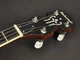 Банджо Richwood RMB-604-SS - изображение 4