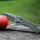 Ніж складний Ganzo G7531Black - зображення 10