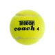 Мяч для большого тенниса TELOON COACH 4 8010412 12 шт. Салатовый - изображение 1