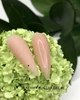 Гель для нарощування Crooz Creamy Builder Gel 15 мл №5 (Бежевий) - зображення 2