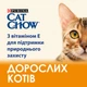 Сухой корм для взрослых кошек Purina Cat Chow Adult с уткой 1.5 кг (7613035394117) - изображение 6