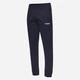 Спортивные штаны мужские Hummel 2035307026 L Темно-синие (Hu08505212237) - изображение 1