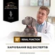 Влажный диетический корм для взрослых собак Purina Pro Plan Veterinary Diets NF Renal Function для поддержания функции почек при хронической болезни мусс 195 г (8445291540354) - изображение 5