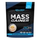 Гейнер Willmax Mass Gainer (2 кг, персиковий-йогурт) - зображення 1