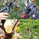 Секатор для прививки Прививочный нож профессиональный Professional Grafting Tool, Садовые ножницы для прививки - изображение 5
