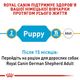 Сухий корм Royal Canin German Shepherd Puppy для цуценят породи Німецька вівчарка 3 кг (арт 251903019) - зображення 4